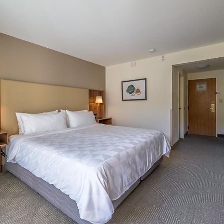 Holiday Inn San Jose La Sabana By Ihg Dış mekan fotoğraf