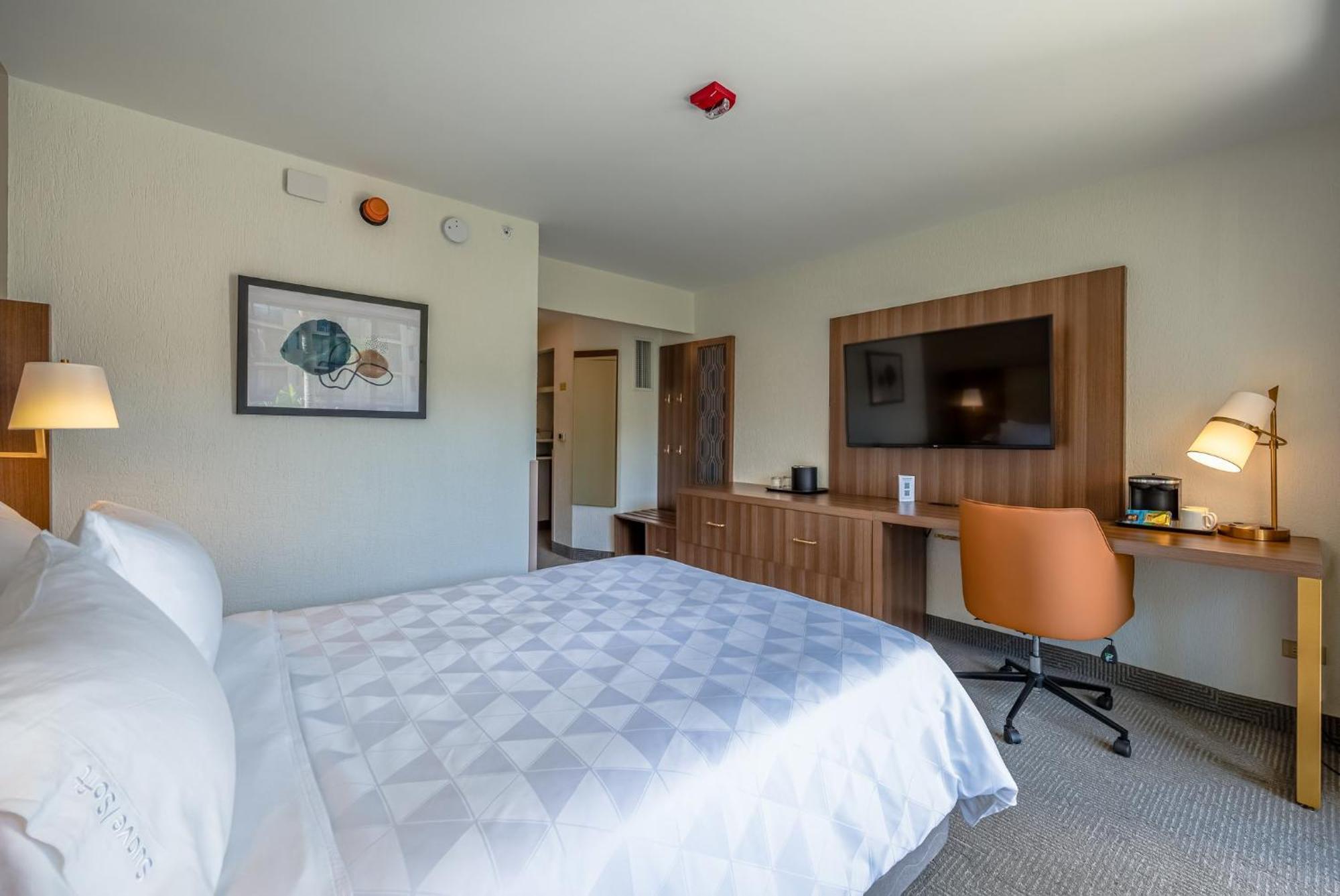 Holiday Inn San Jose La Sabana By Ihg Dış mekan fotoğraf